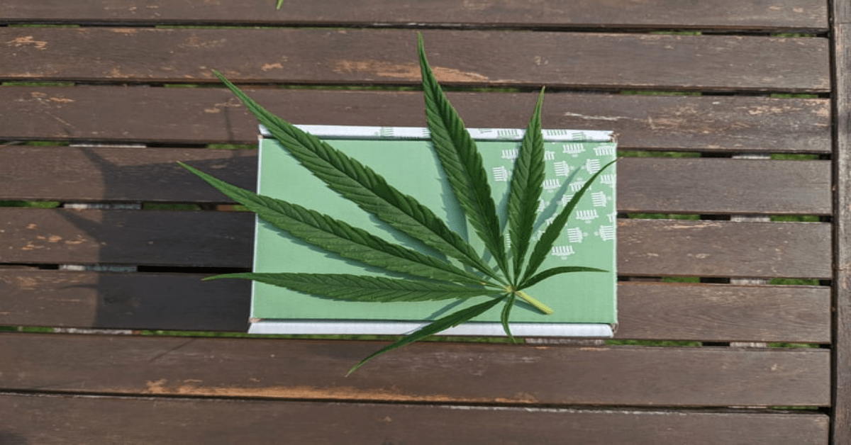 Packaging made of hemp